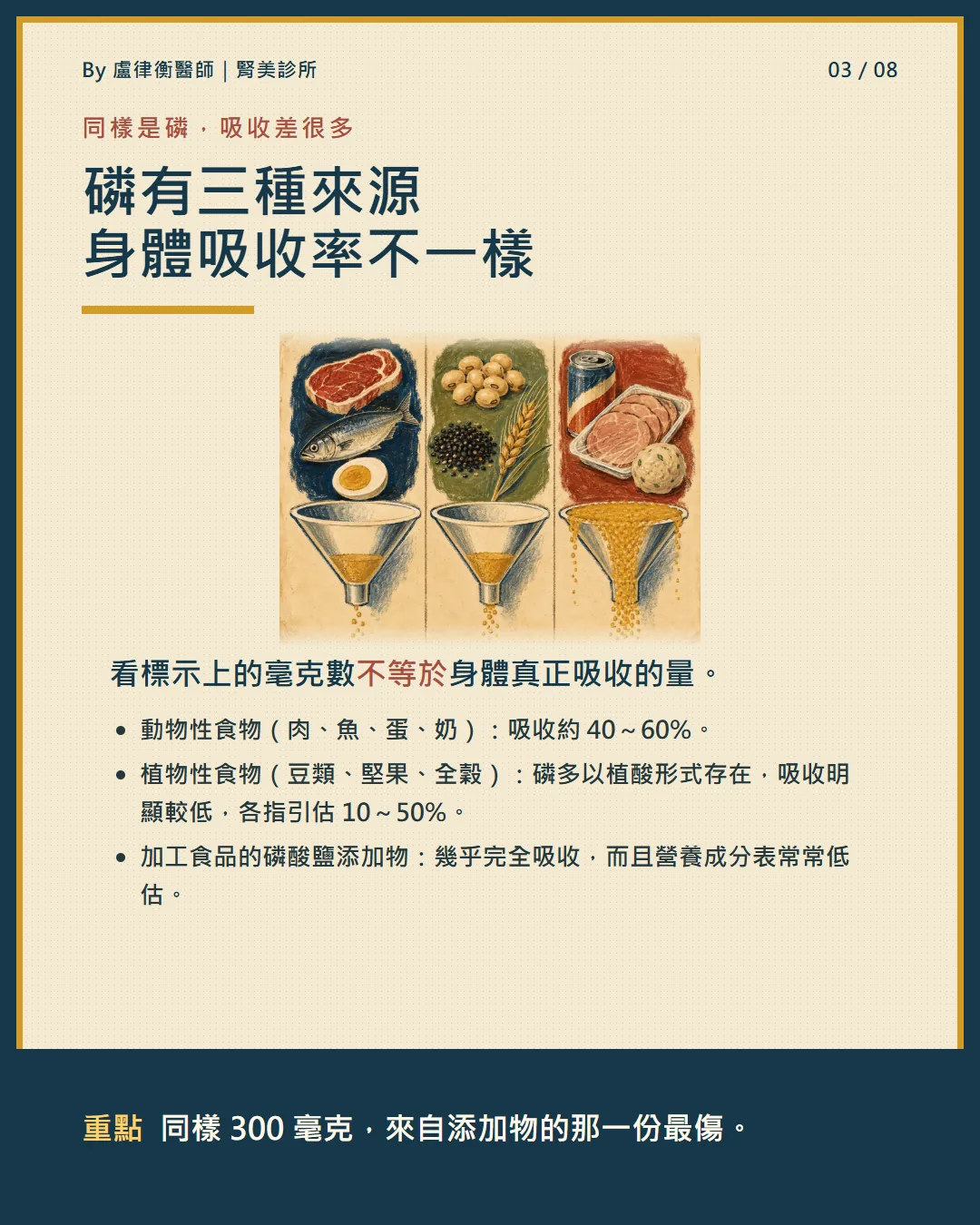 磷的三種來源與吸收率差異:動物性、植物性、加工食品添加物